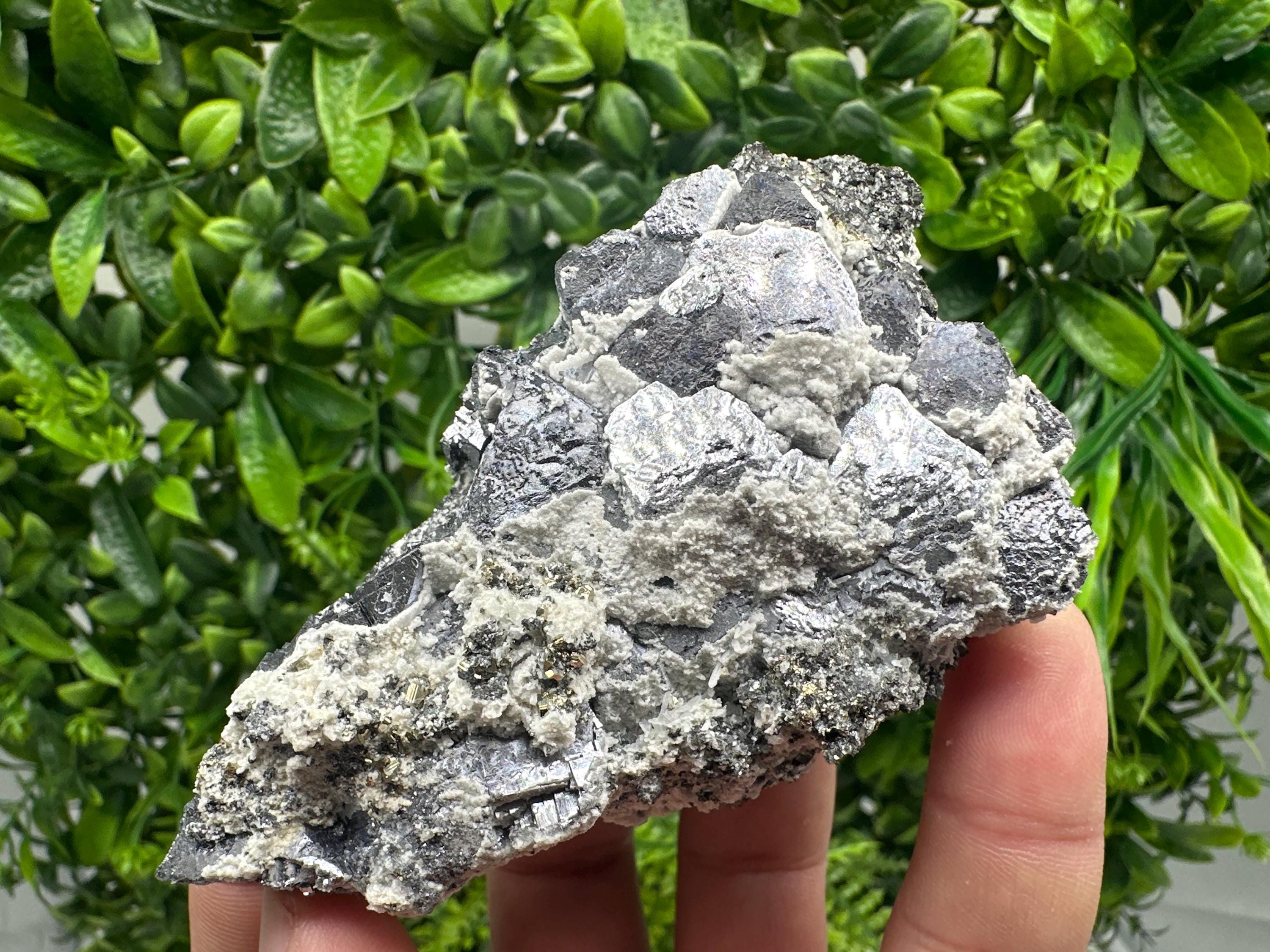Galena with Quartz Specimen: Krushev Dol Mine, Bulgaria