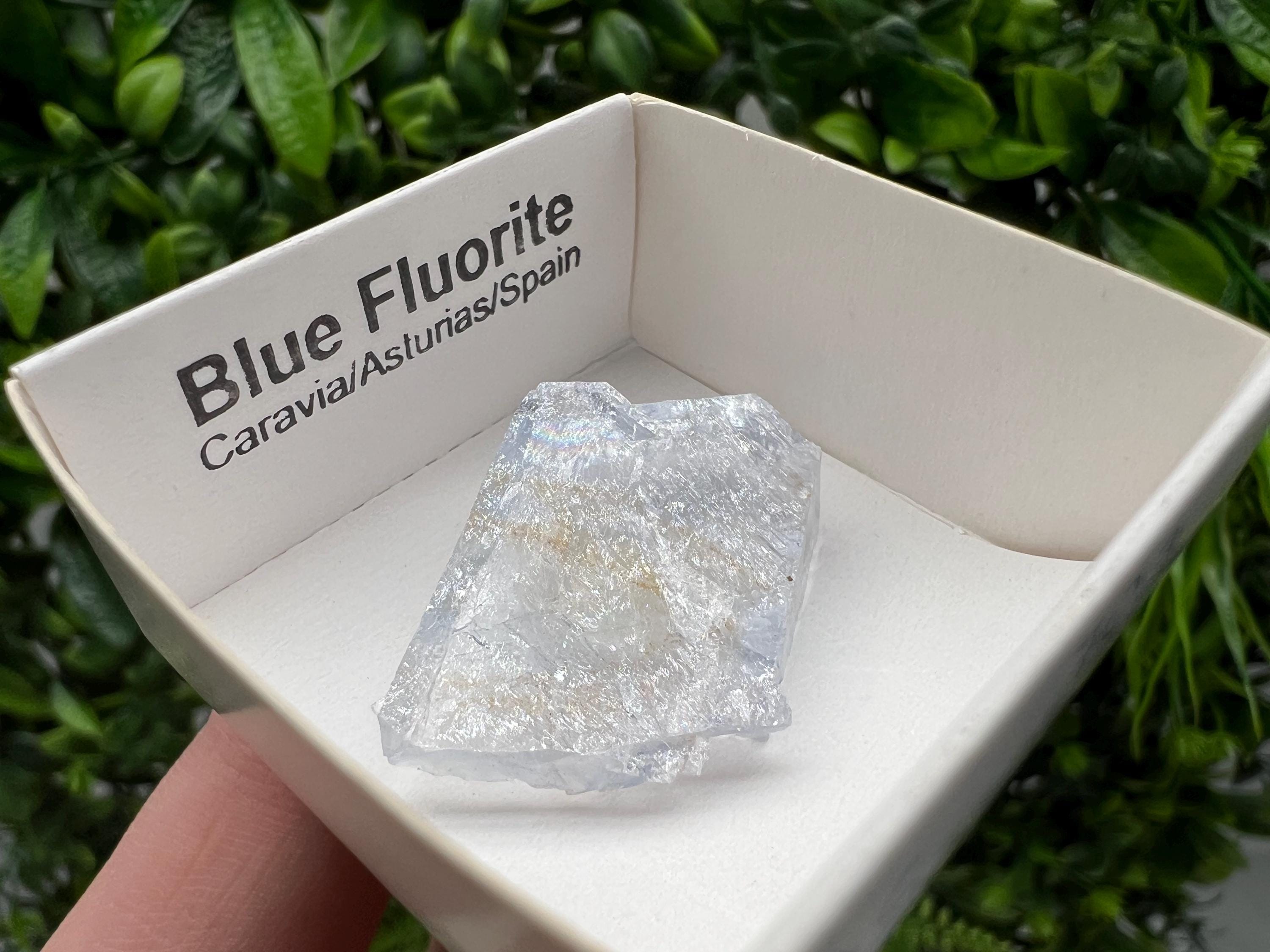 Blue Fluorite Mineral Specimen: Spain Collection (3/2 cm