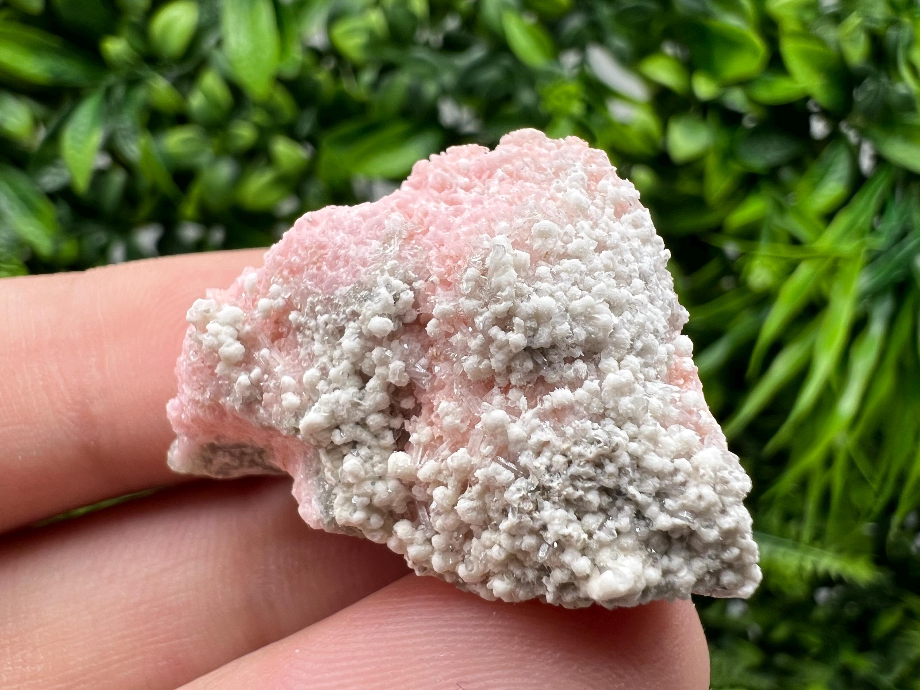 RARE Rhodochrosite with White Calcite, Starnica Mine, Bulgaria
