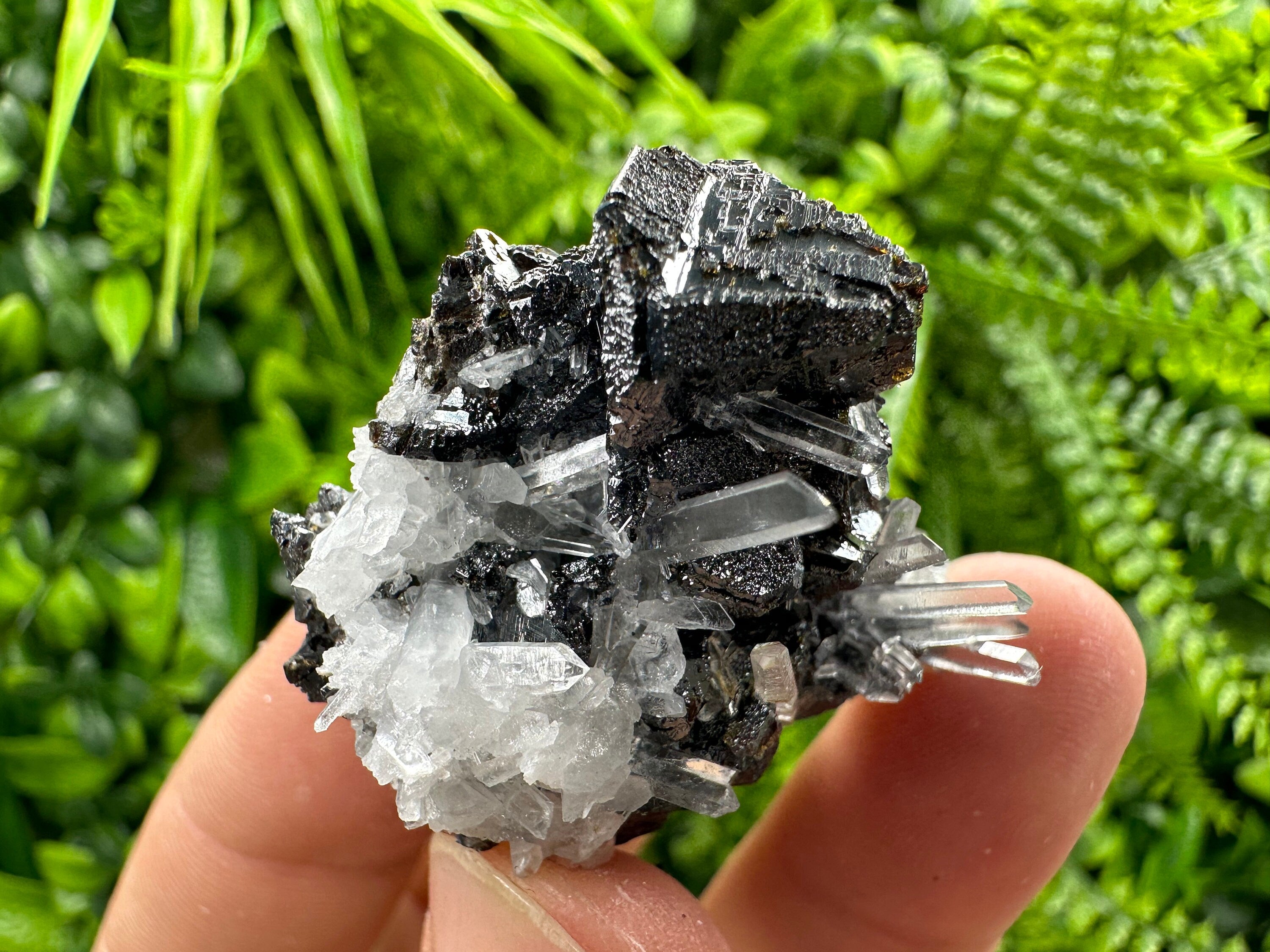 Sphalerite on Transparent Quartz, Kryshev Dol Bulgaria