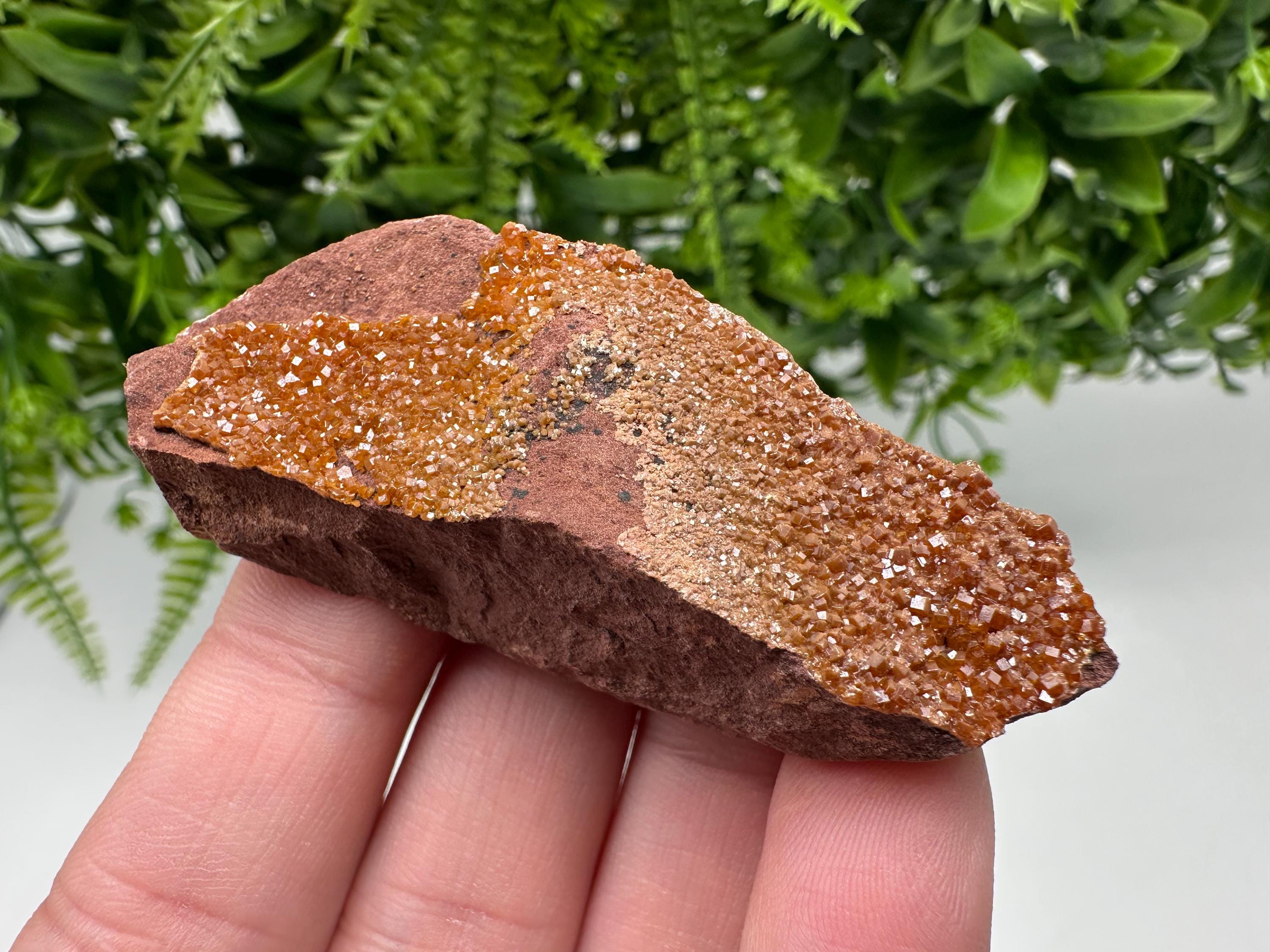 Red Vanadinite on Matrix from Marocco,crystal minerals Speciment cluster Vanadinite crystal Vanadinite Geology Vanadinite cluster minerals