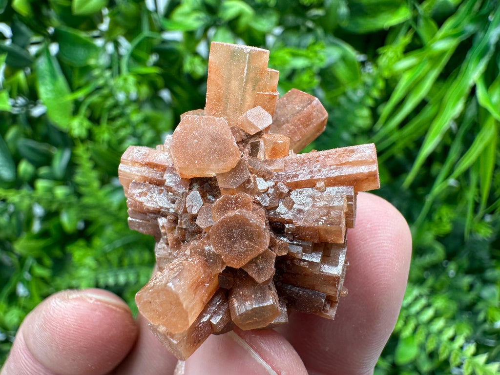 Moroccan Aragonite Sputnik Cluster: Raw Crystal Stone Decor