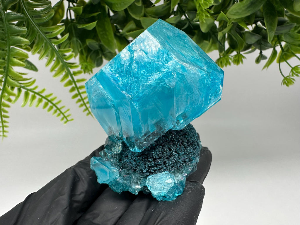 Exceptional Turquoise ALUNITE Aqua Crystal on Matrix UV Active, lab minerals