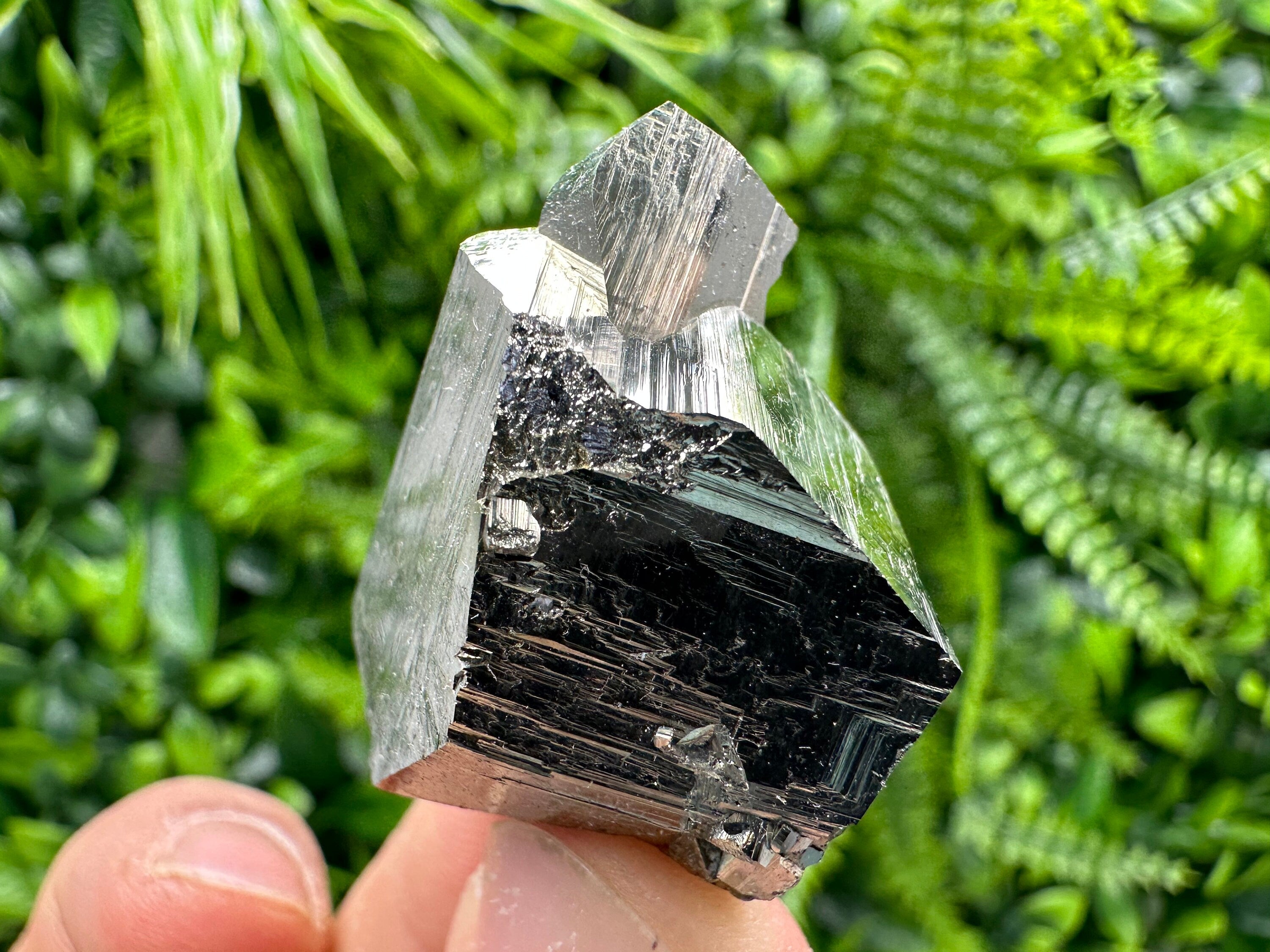Golden Pyrite Crystal: Shiny Fool's Gold Souvenir from Madan Bulgaria