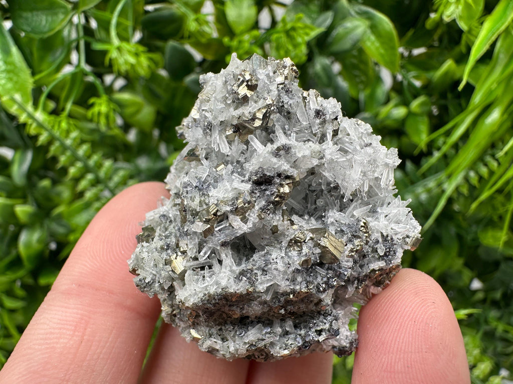 Pyrite on Green Quartz Mineral Specimen, Borieva Mine, Bulgaria