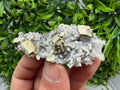 Pyrite Sphalerite Quartz  Mineral Specimen, Krushev dol Mine