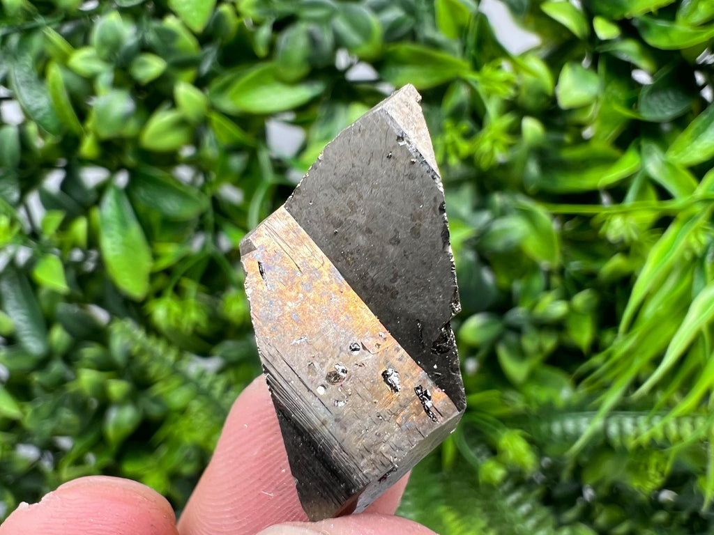 Mini Pyrite Cluster: Rare Crystallization from Borieva Mine