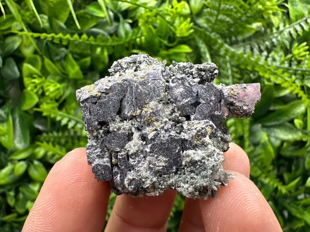 Pyrite on Galena with Quartz, Borieva Mine Mineral Specimen