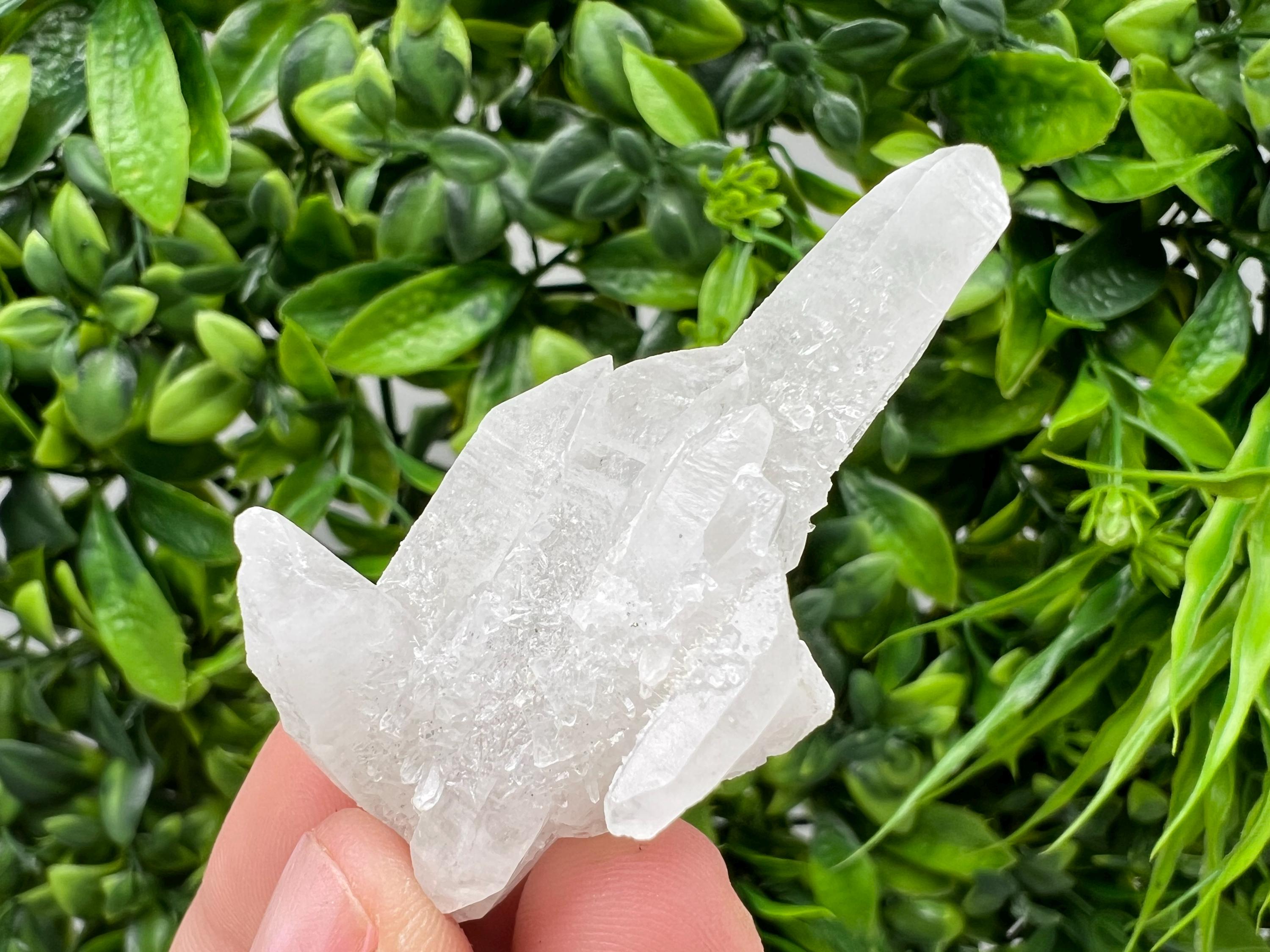 Transparent Quartz on Chlorite Matrix, Borieva Mine, Bulgaria