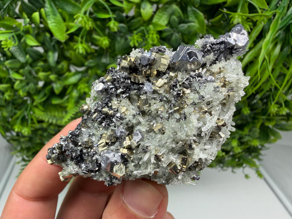 Pyrite Sphalerite Quartz  Mineral Specimen, Krushev dol Mine