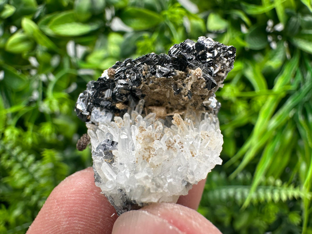 Sphalerite on Green Quartz, Borieva Mine Mineral Specimen