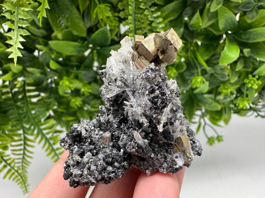 Pyrite on Green Quartz: Rare Crystal Mineral Specimen, Bulgaria