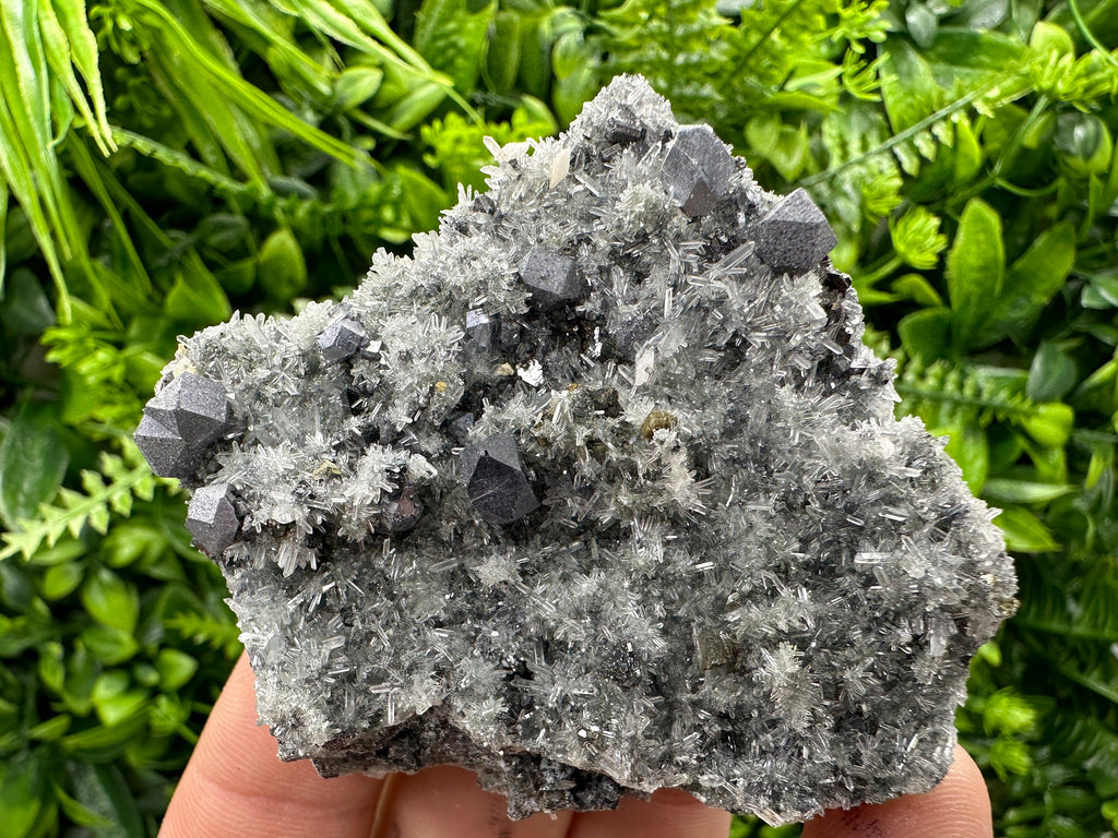 Galena on Quartz with Pyrite: Natural Crystal Home Decor Stone
