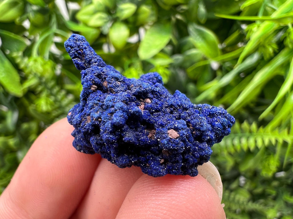 Crystallized Azurite-Kerrouchen,Morocco-Blue Azurite Specimen-High Quality Blue Azurite-Azurite Mineral Specimen, gemmy,lustrous of Azurite