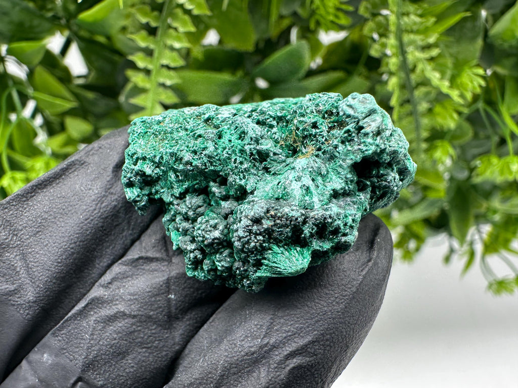 Malachite Crystal from Congo,Minerals,Crystals from Congo,Green Malachite, Malachite,Natural Malachite,Malachite Stone,Chakra, Specimens