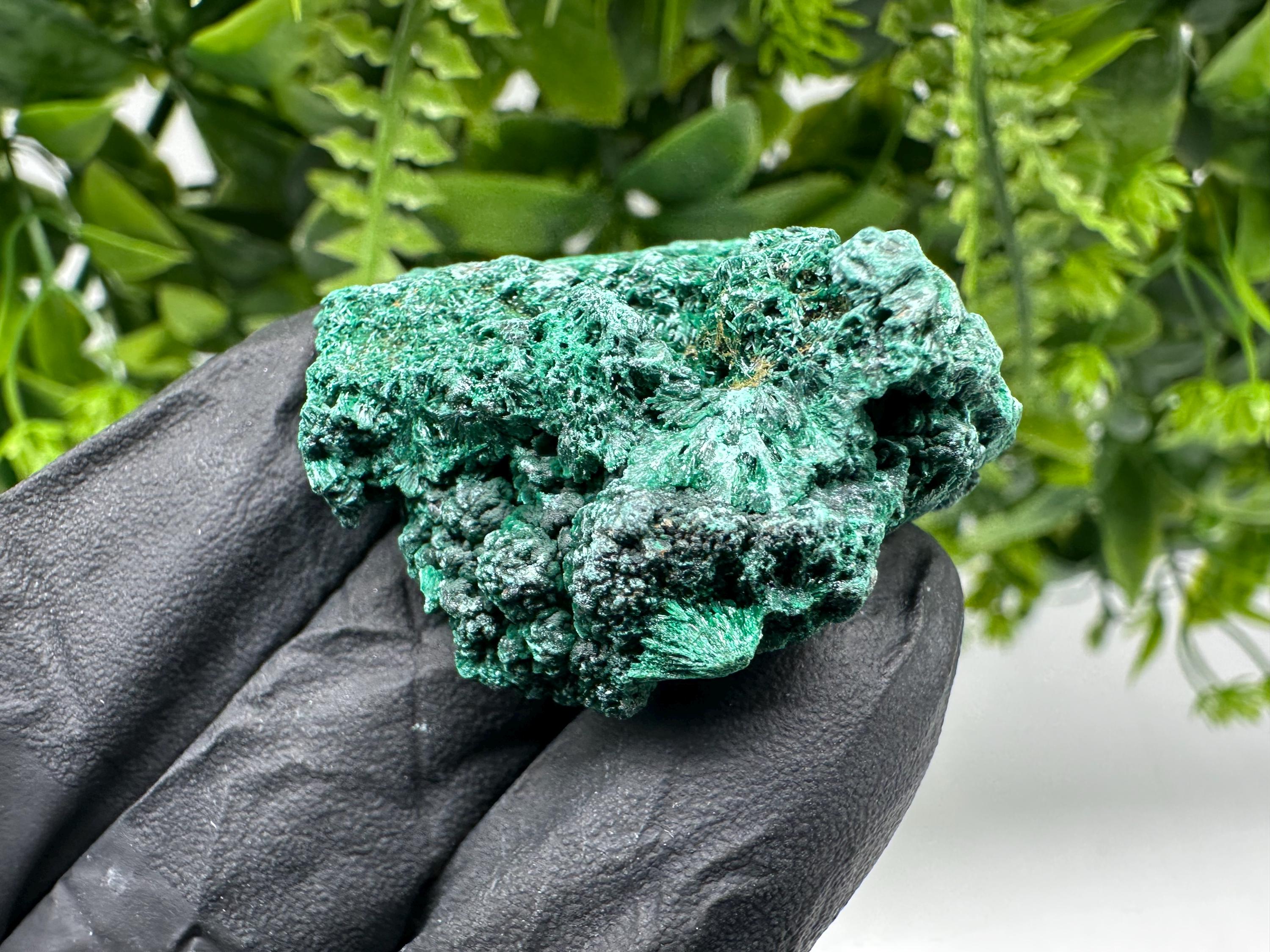 Malachite Crystal from Congo,Minerals,Crystals from Congo,Green Malachite, Malachite,Natural Malachite,Malachite Stone,Chakra, Specimens