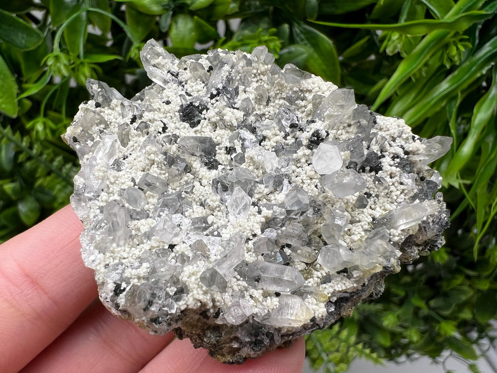 Chlorite Epidote Quartz Specimen, Borieva Mine, Bulgaria