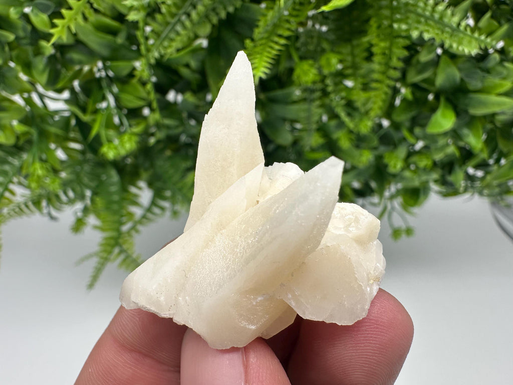 Calcite on Aragonite: Djurcovo Mine, Bulgaria Crystal