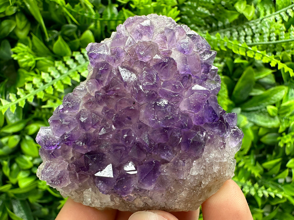 Uruguay Amethyst Cluster: Purple Quartz Crystal, Home Decor (6/7/4cm)