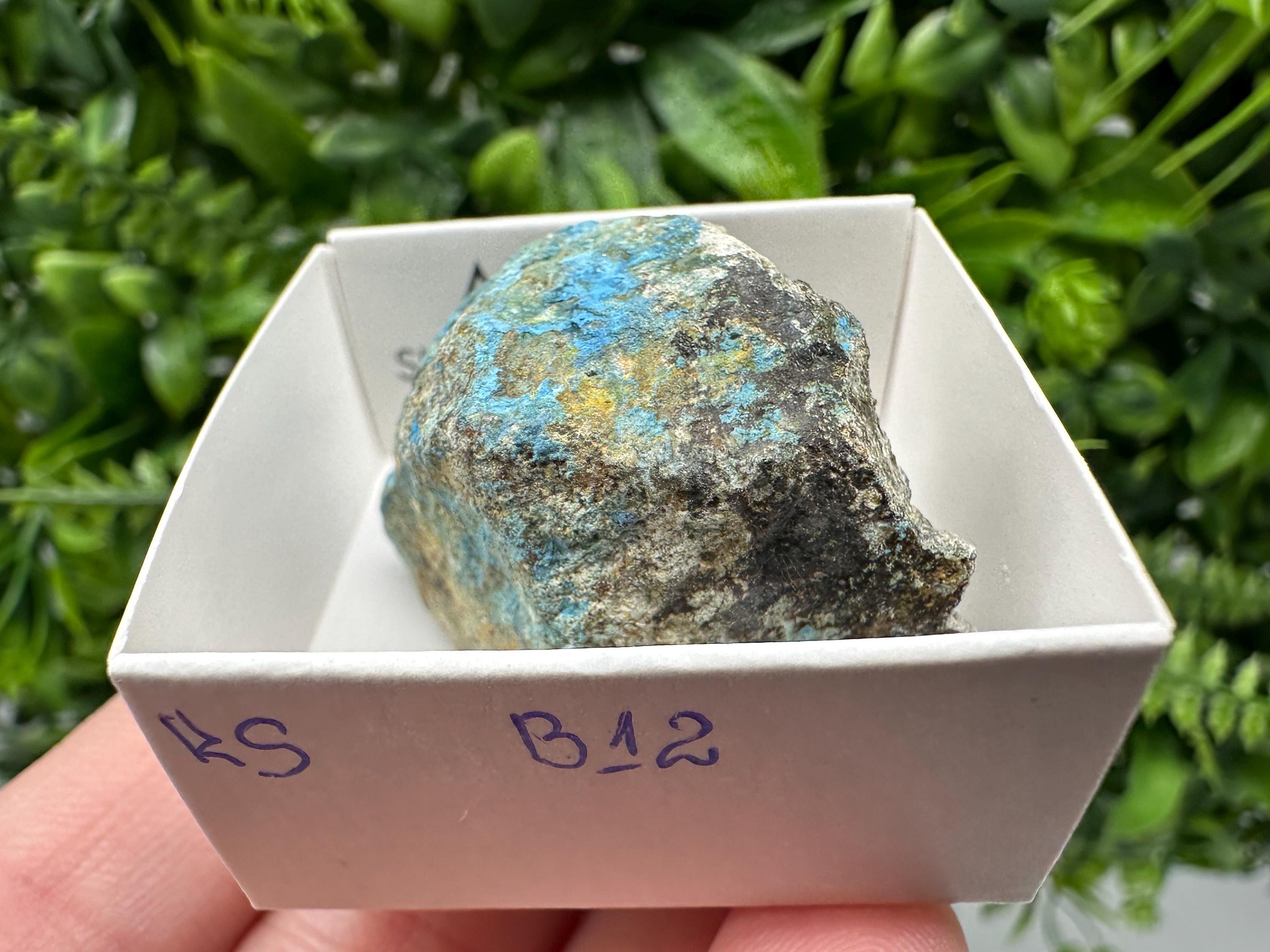 Rare Raw Aerinite Mineral Specimen: Lleida, Spain Crystal