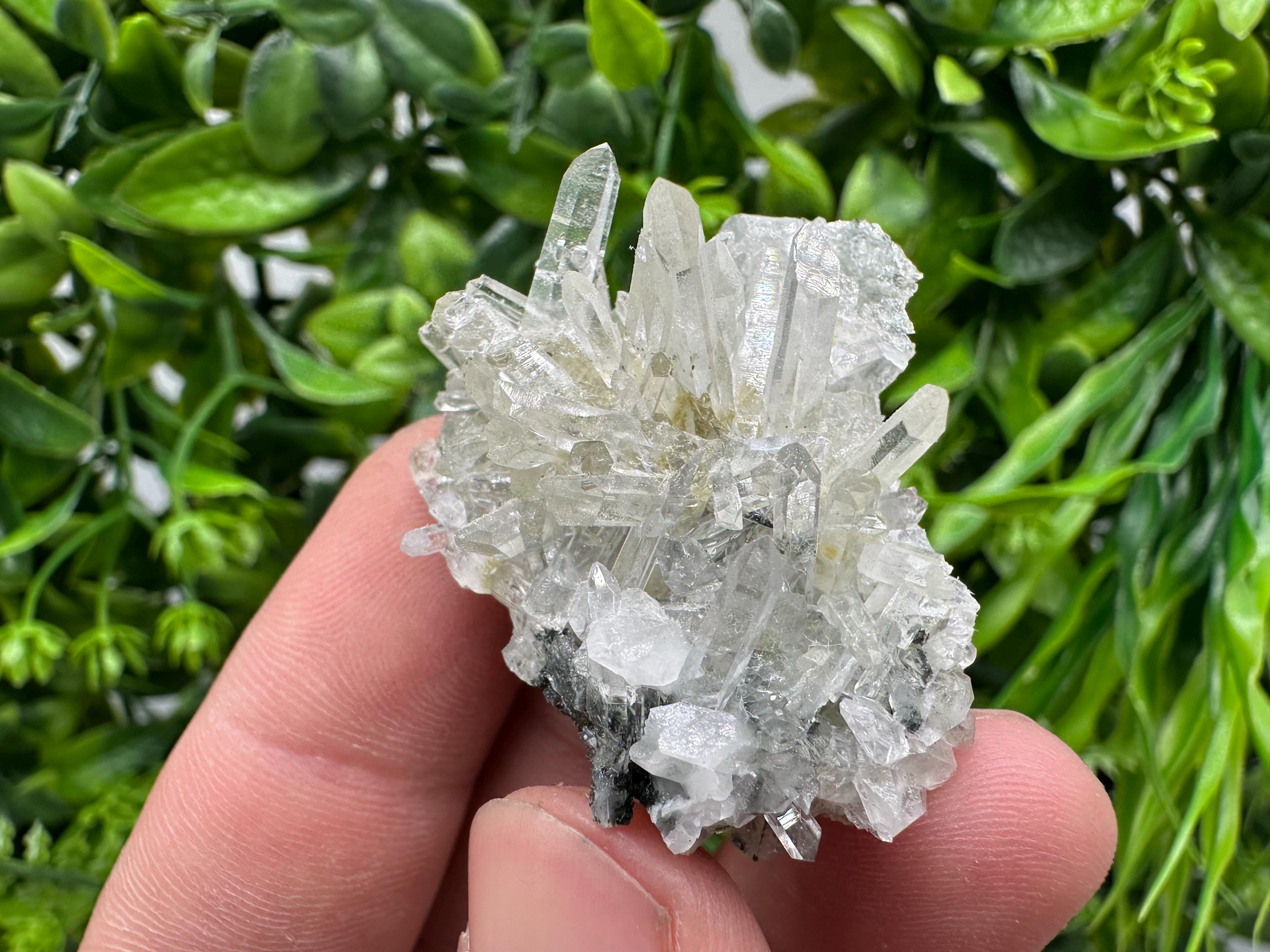 Transparent Quartz on Chlorite Matrix, Borieva Mine Mineral Specimen