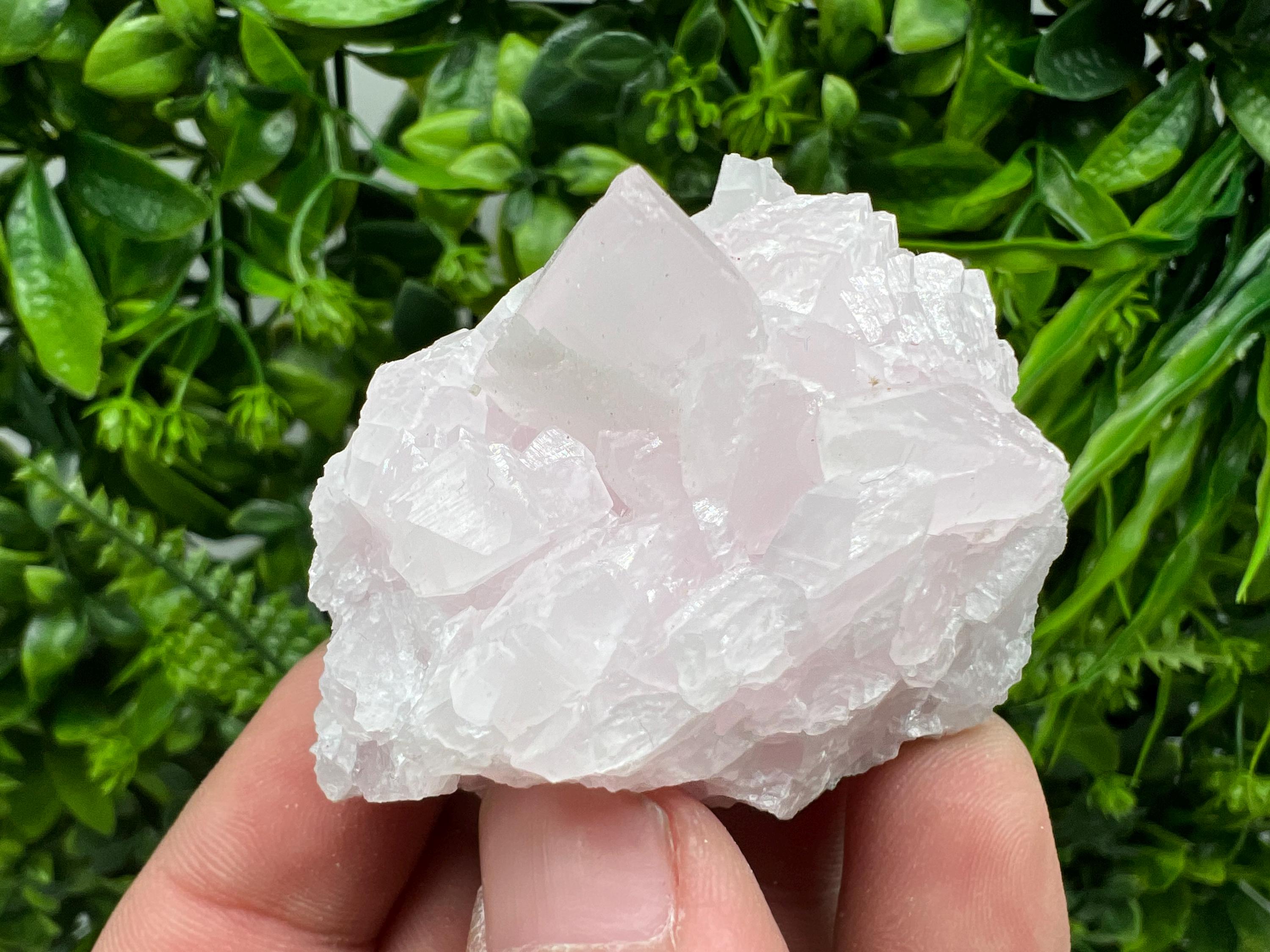 UV Reactive Mangano Calcite Crystal: Androvo Mine, Bulgaria