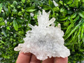 Transparent Quartz on Chlorite Matrix, Bulgaria Mineral Specimen