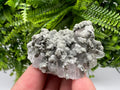 Calcite Quartz on Chlorite Matrix, Borieva Mine Mineral Specimen