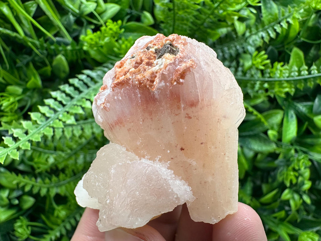Stilbite Crystal on Matrix, India Minerals Specimen