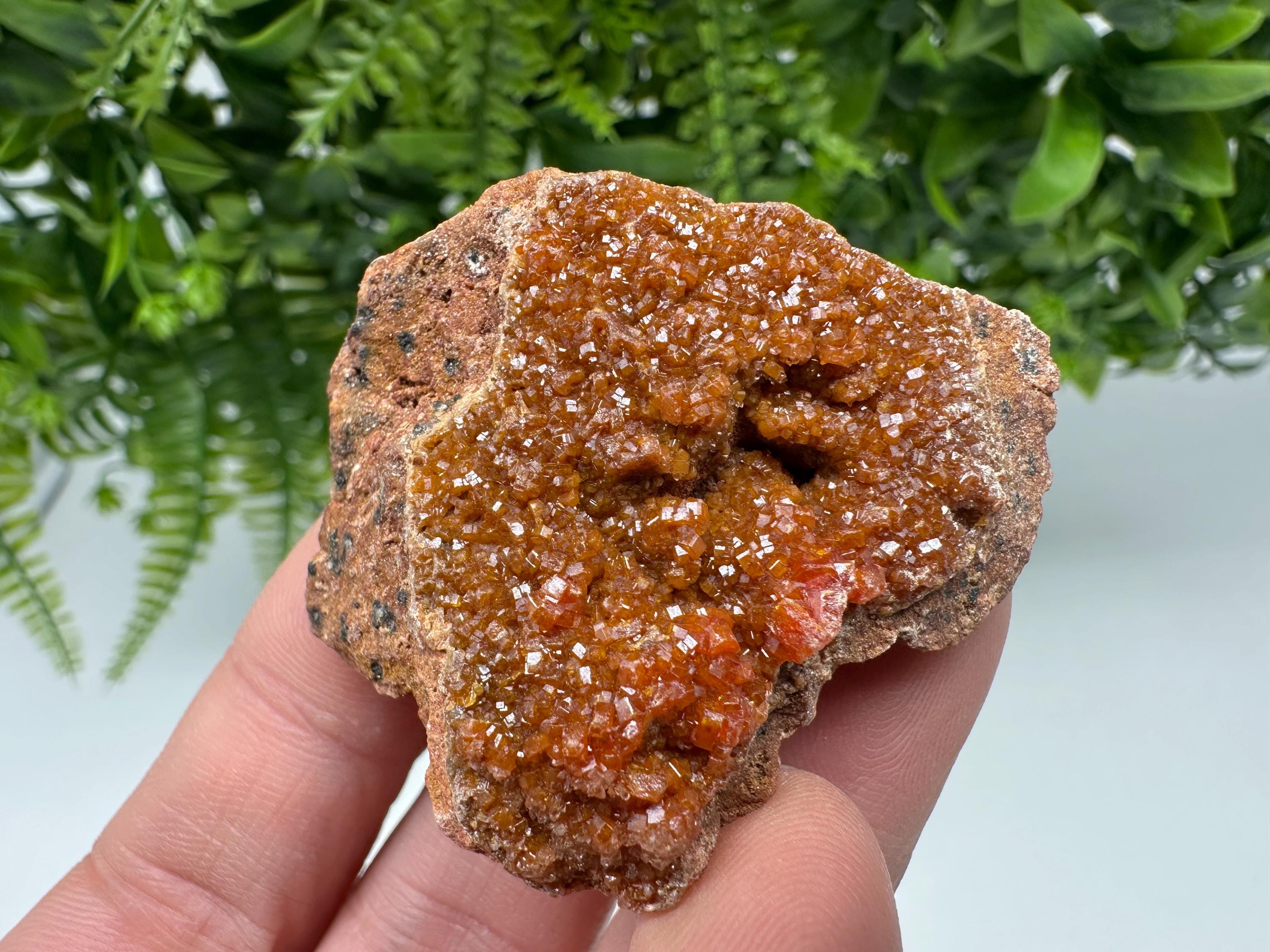 Red Vanadinite on Matrix from Marocco,crystal minerals Speciment cluster Vanadinite crystal Vanadinite Geology Vanadinite cluster minerals