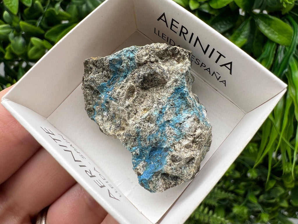 Rare Raw Aerinite Mineral Specimen: Collection Crystal from Lleida, Spain (3.5/3 CM)