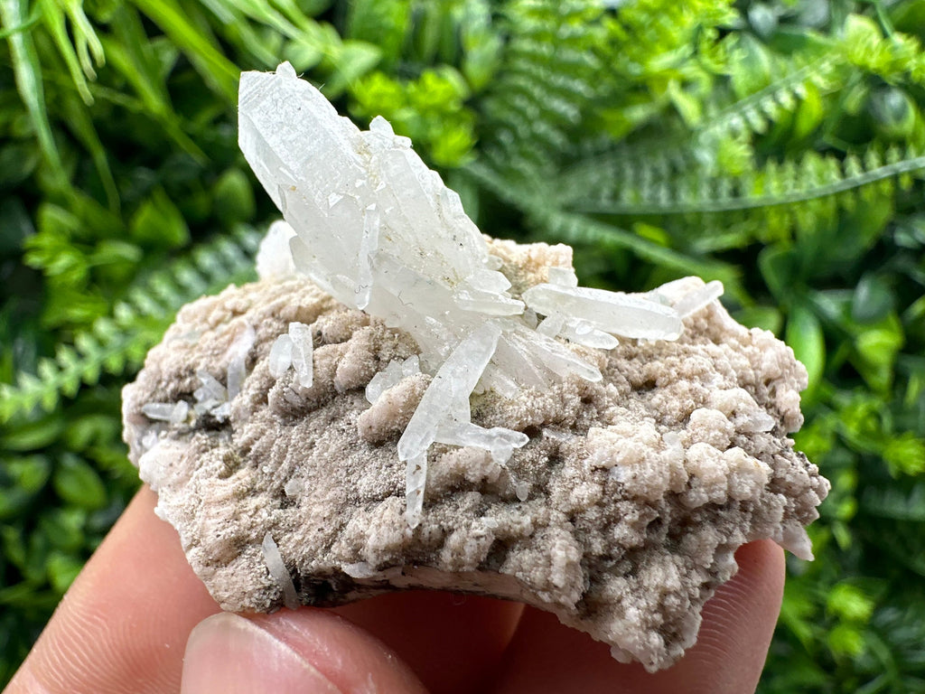 Quartz with Chlorite, Rhodochrosite, Siderite - Mineral Specimen