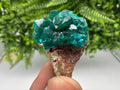 Stunning Green Dioptase from Sanda Hills,Mindouli,Pool Department,Mindouli District,Congo,green Dioptase,Dioptas Crystal,Dioptase collecting