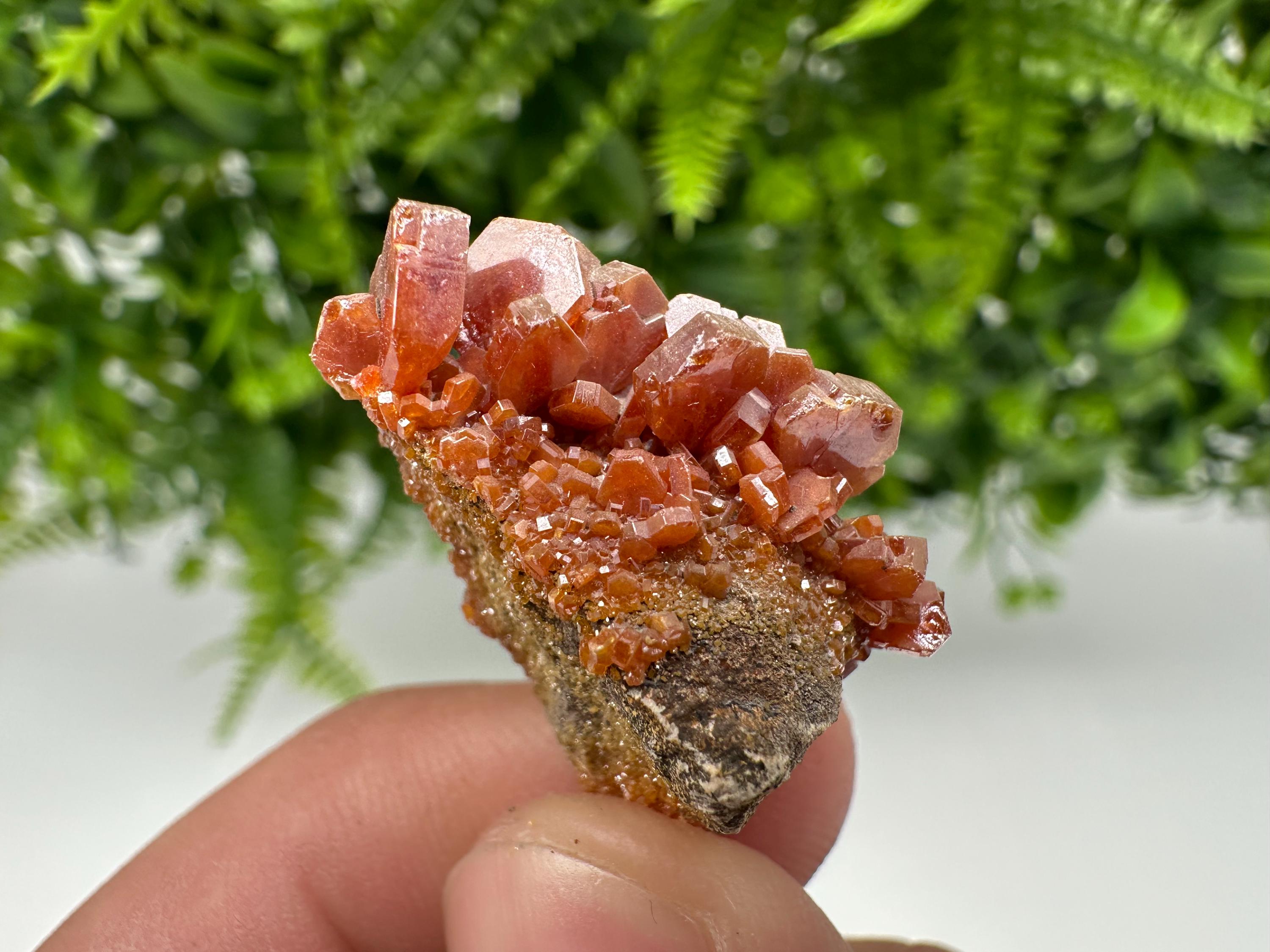 Red Vanadinite on Barite, Morocco Crystal Specimen, Geology Minerals