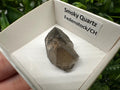 Rare Fedenstock Smoky Quartz Point, Swiss Mineral Specimen (25MM)