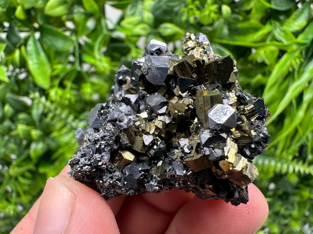 Galena on Pyrite Mineral Specimen, Borieva Mine, Bulgaria