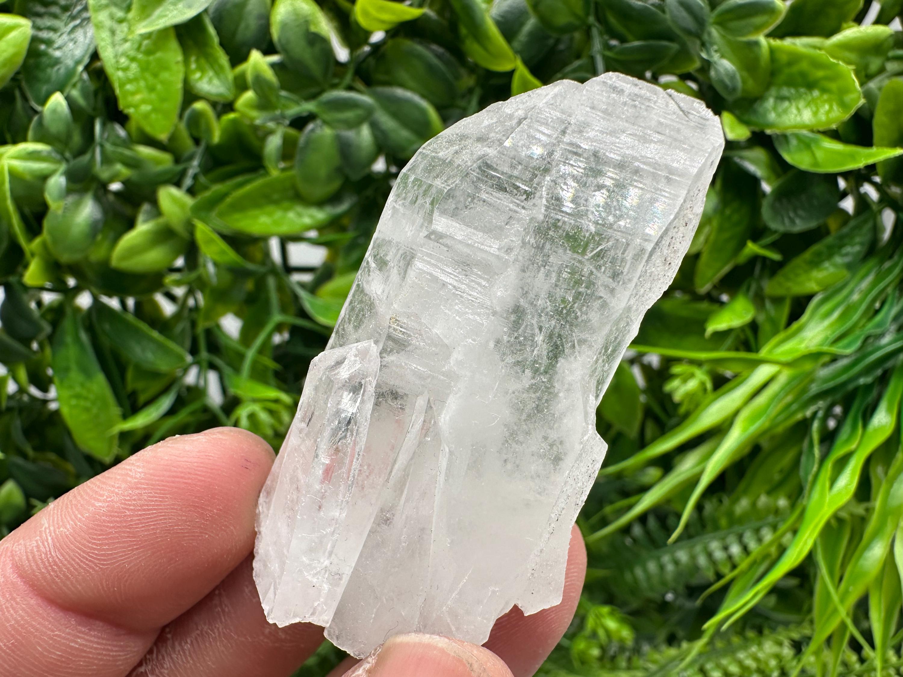 Transparent Quartz Crystal: Djurcovo Mine, Bulgaria