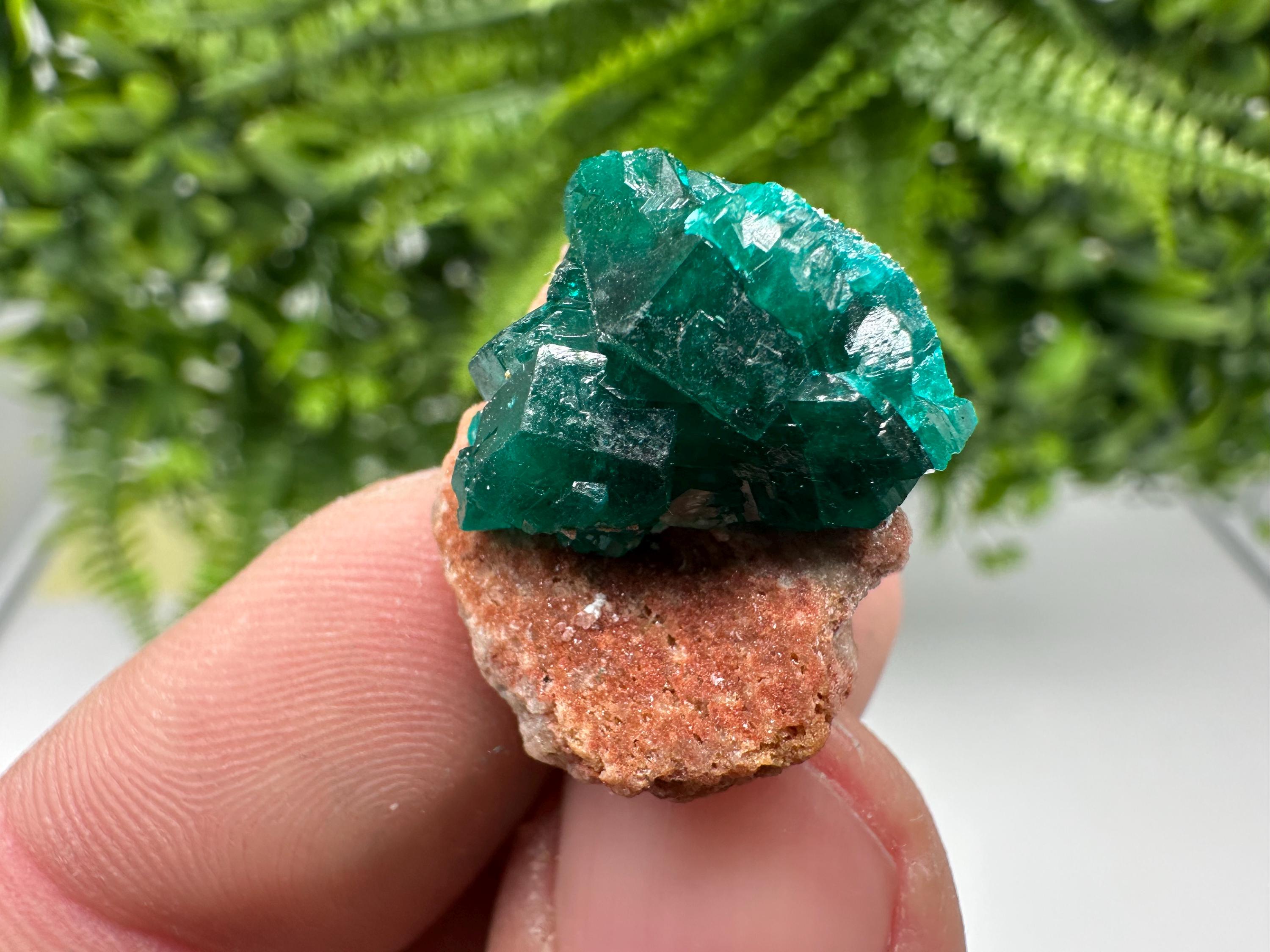 Stunning Green Dioptase from Sanda Hills,Mindouli,Pool Department,Mindouli District,Congo,green Dioptase,Dioptas Crystal,Dioptase collecting