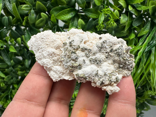 Chalcopyrite on Mangano Calcite: Rare Crystal Mineral Specimen, Bulgaria