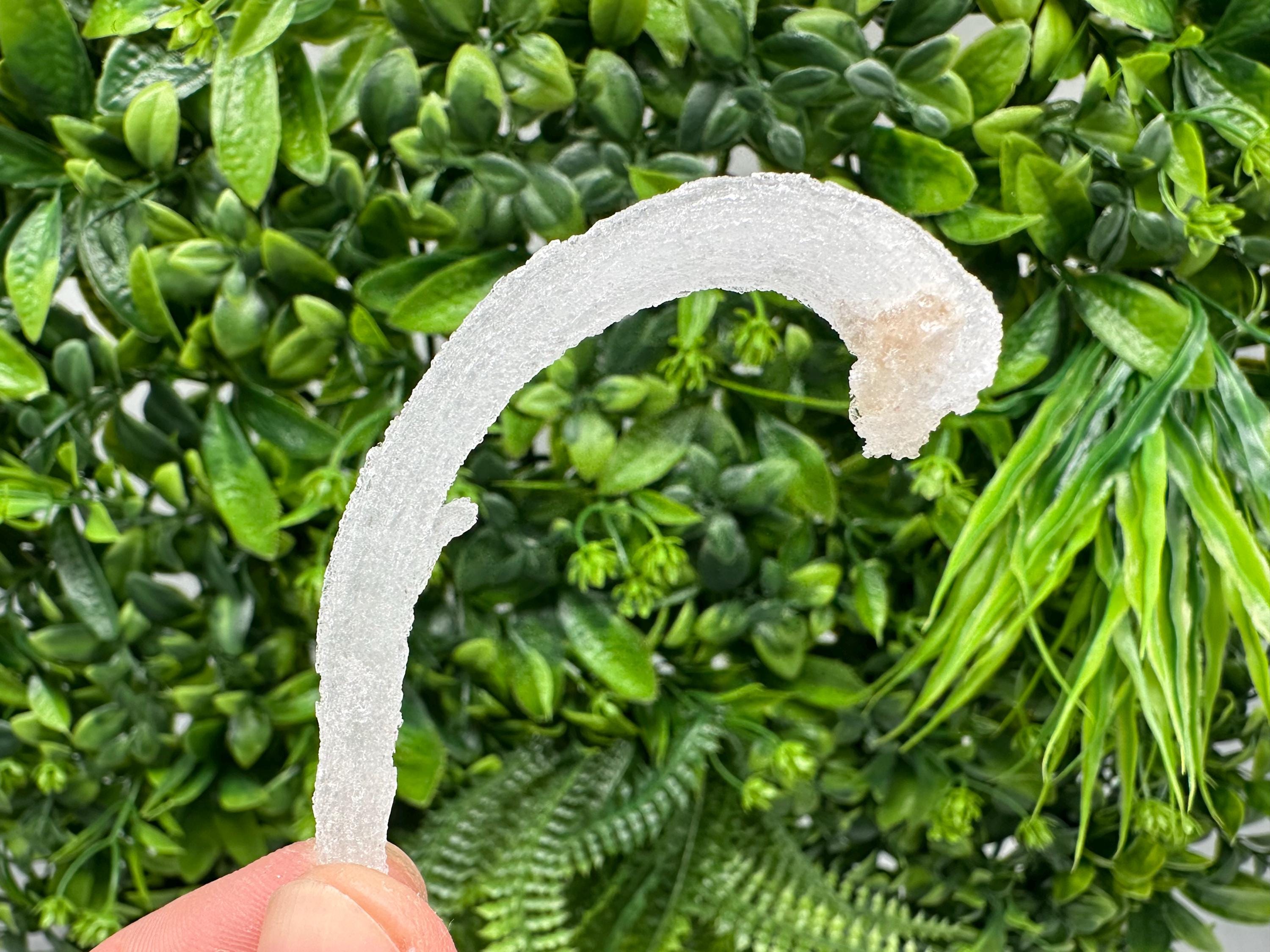 White Selenite Gypsum "Ram's Horn'' Selenite,from Guizhou,China,perfect Shape and Luster,Fluorescent Selenite Gypsum,minerals specimen,colle