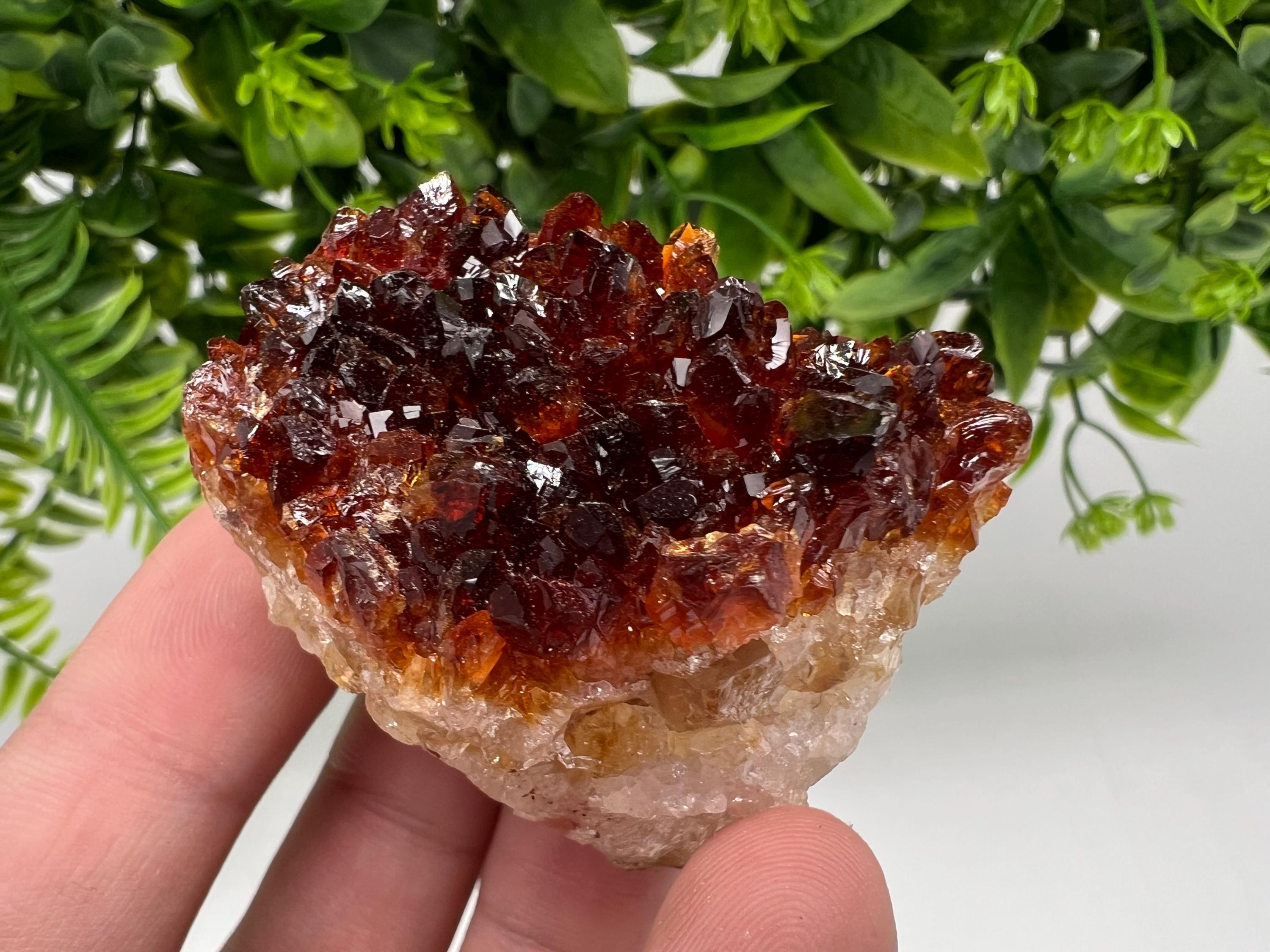 Citrine Crystal Cluster with Hematite Inclusions - Brazil