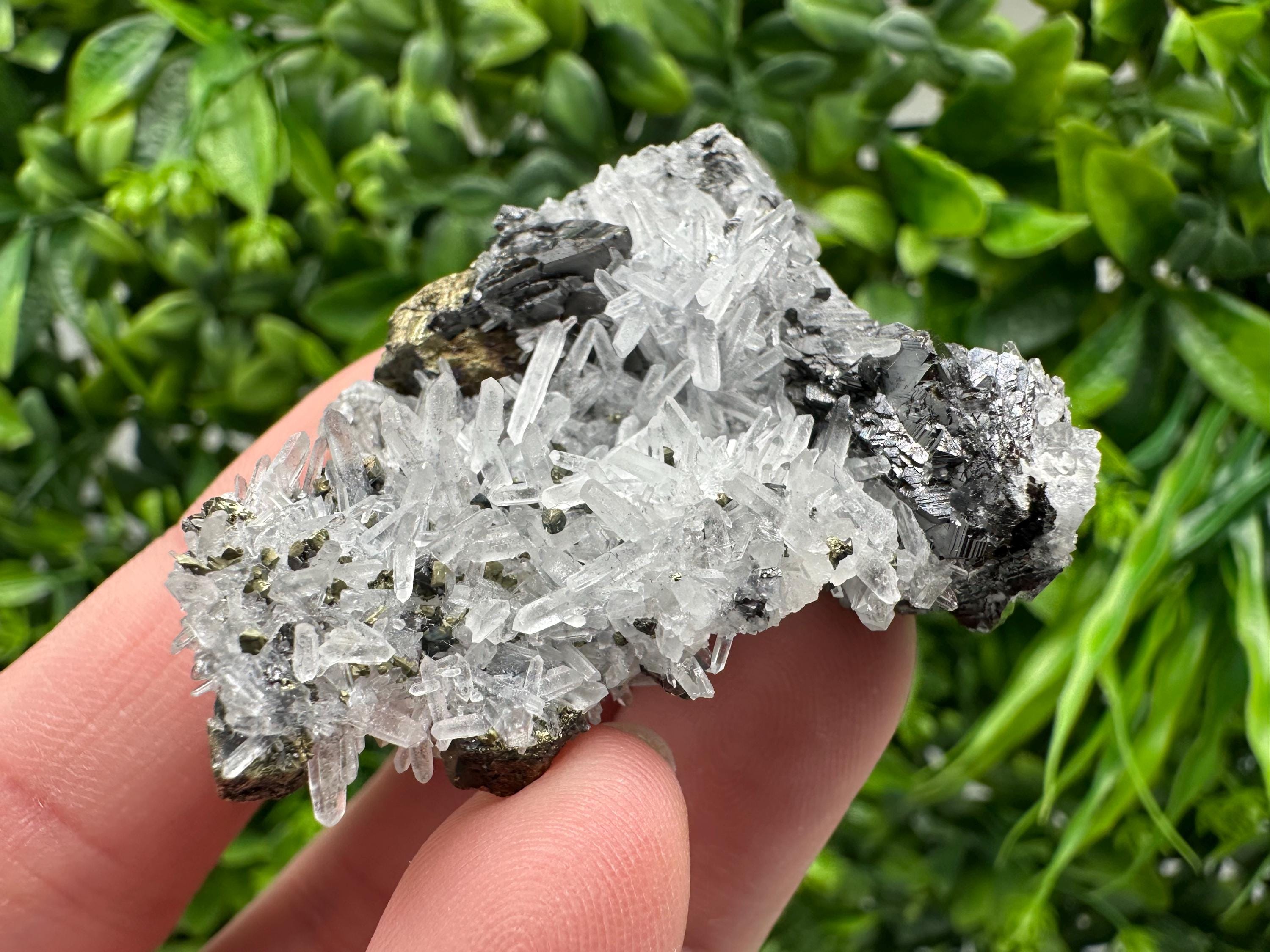 Wonderful Sphalerite Chalcopyrite on  Quartz whit Galena feom 9 th September mine,Bulgaria,natural,collection mineral specimen,gift