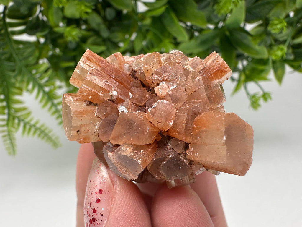 Aragonite Sputnik Cluster: Raw Moroccan Crystal Stone, Home Decor