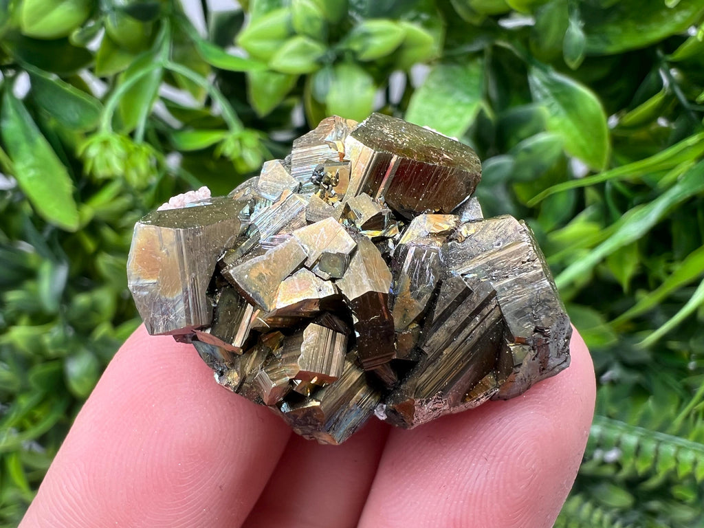 Mini Rainbow Pyrite Cluster: Borieva Mine, Bulgaria