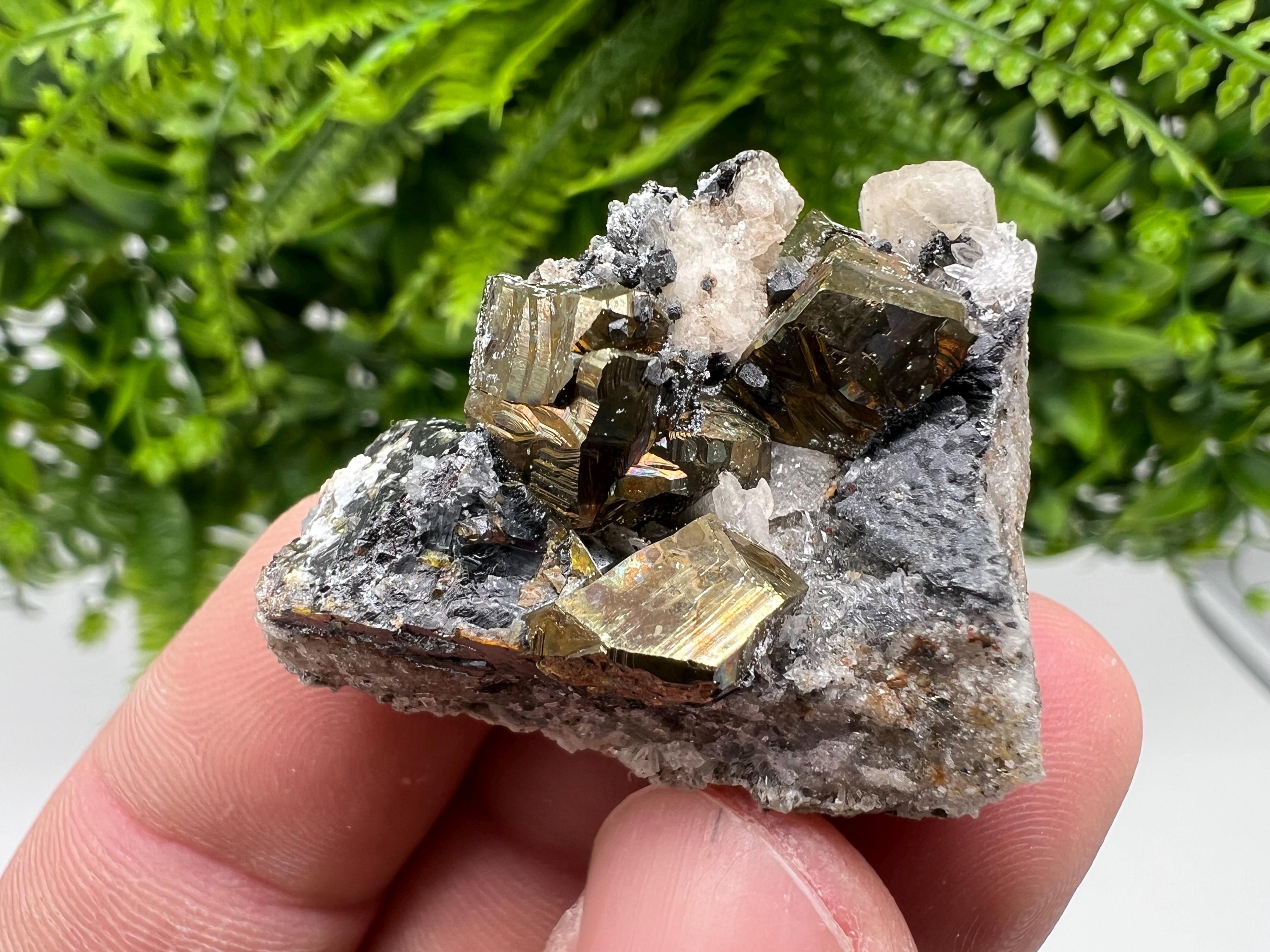 Pyrite with Hematite, Sphalerite and Quartz Specimen, Bulgaria