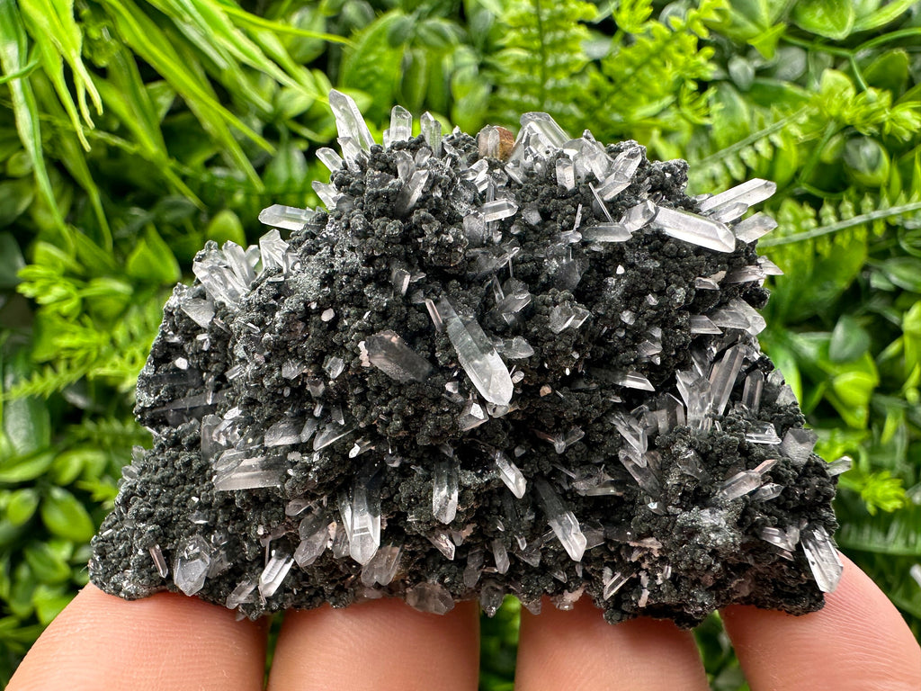 Chlorite Quartz Crystal: Iron Oxide Mineral Specimen, Borieva Bulgaria