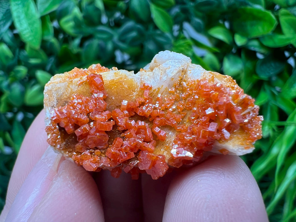 Red Vanadinite on Barite from Marocco,crystal minerals Speciment cluster Vanadinite crystal Vanadinite Geology Vanadinite cluster minerals