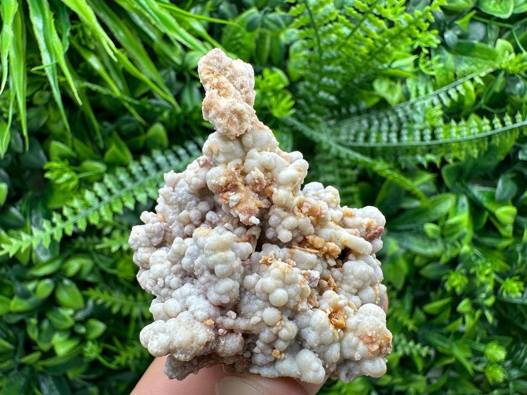 Dimitrovgrad Aragonite Cluster, Bulgaria Mineral Specimen (5/5/5cm)
