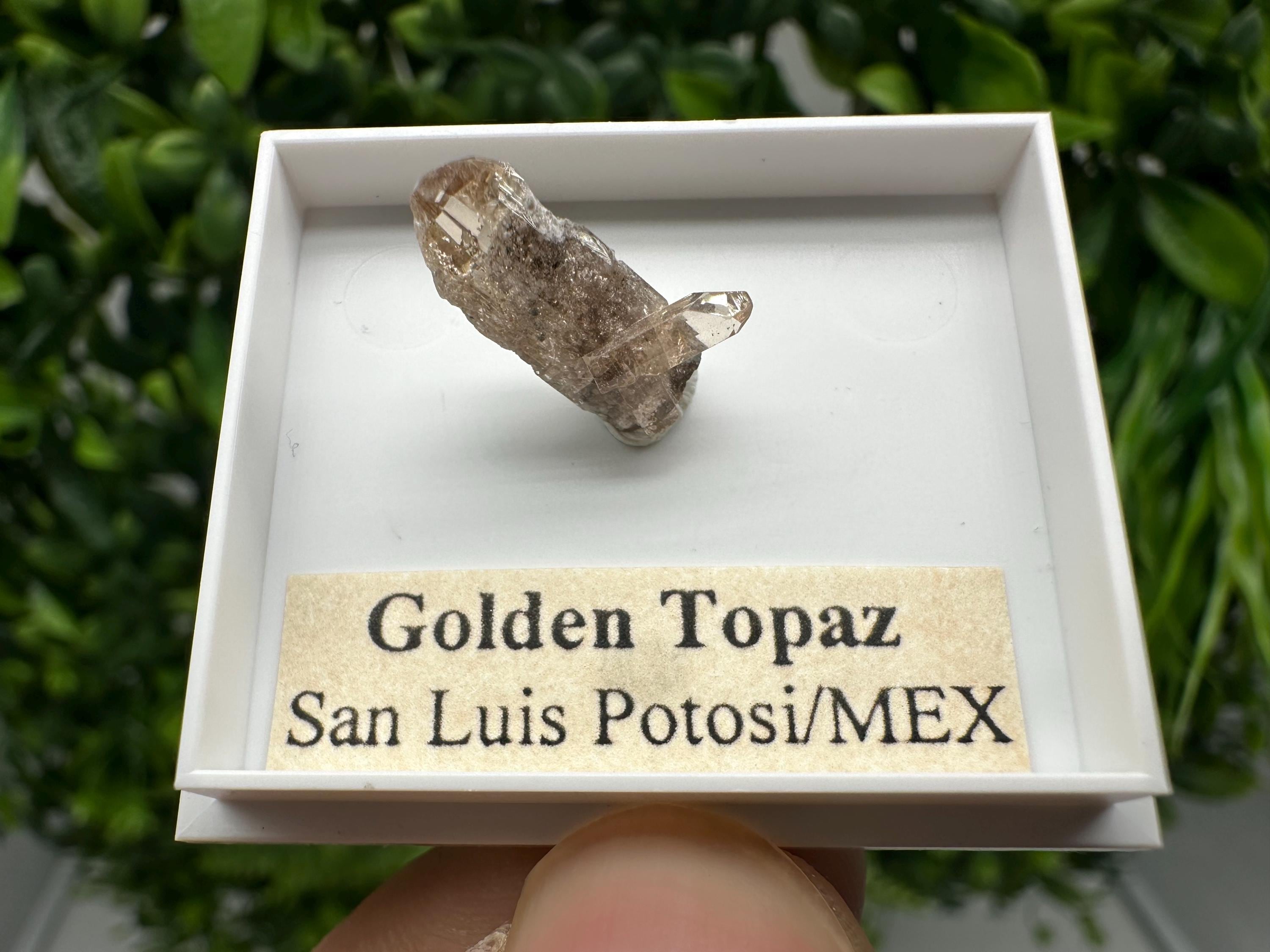 Beautiful Golden Topaz from Mexico,collection piece Crystal,Mineral,collectibles,Collectors, Natural Crystal, Minerals from Mexico,original,