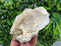 UV Reactive Mangano Calcite, Borieva Mine Bulgaria, Mineral Specimen